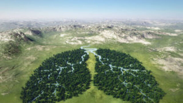 Climate Change Negotiations and Health
