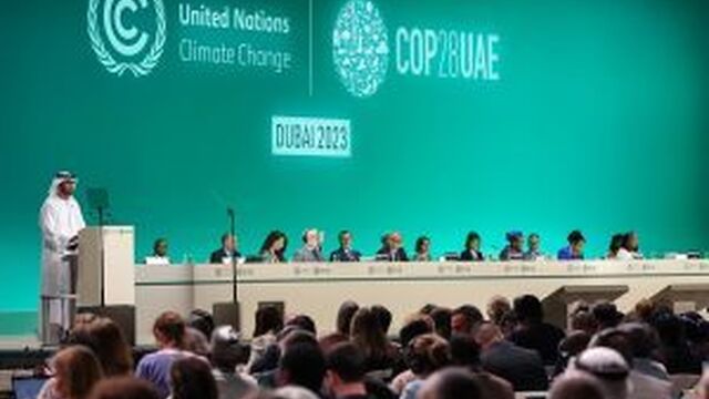 Mastering International Climate Negotiations: All You Need to Know