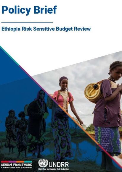 RSBR Ethiopia Policy Brief Capture JPG ff720817