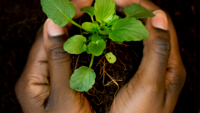 ICLEI Africa's Unique Entry Points on Human and Gender Rights in Urban Nature