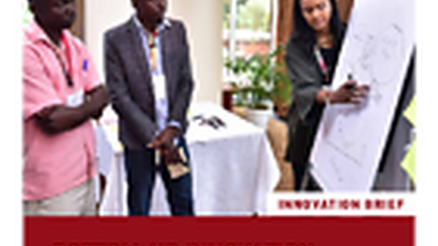 Bottom-up innovation for adaptation financing