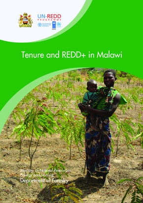 Tenure and redd in malawi final 25 08 2017 1 4facacfb