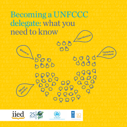 Becoming a unfccc delegate what you need to know 7fa22c69