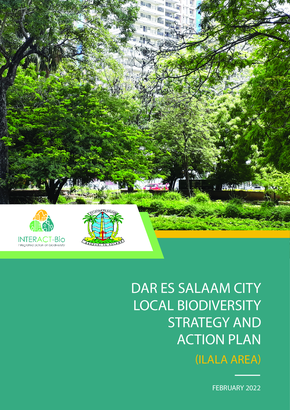 LBSAP Dar es salaam 13b25e6f