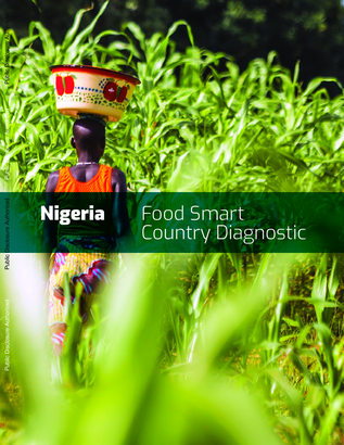 Nigeria Food Smart Country Diagnostic d9abcee8
