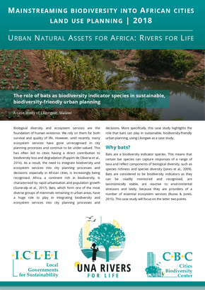 2018 Case Study UNA Rivers Bats 3324af9d