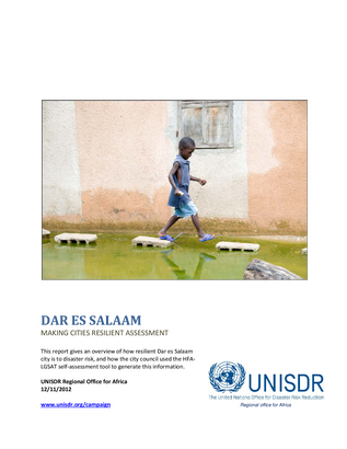 MCR resilience assessment report Dar Es Salaam ad2798f8