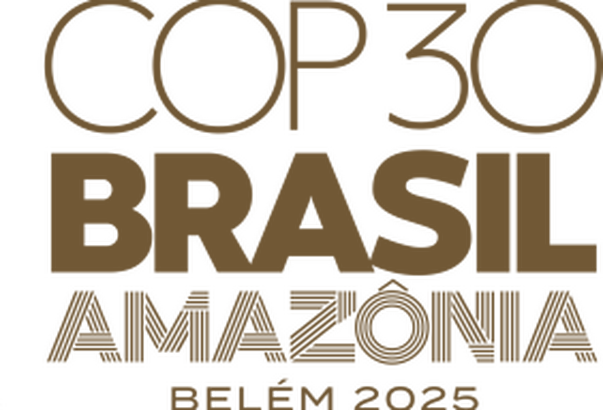 COP 30